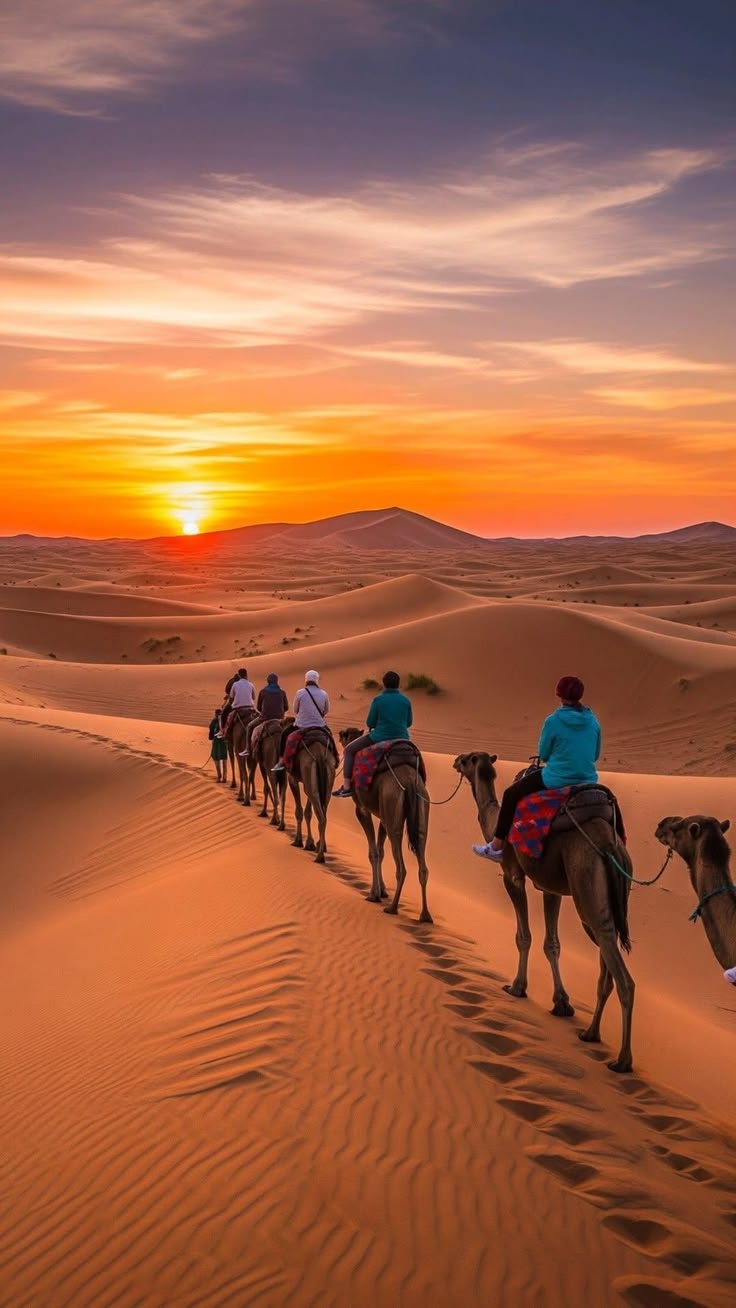 Kamelkarawane über den orangefarbenen Dünen des Erg Chebbi
